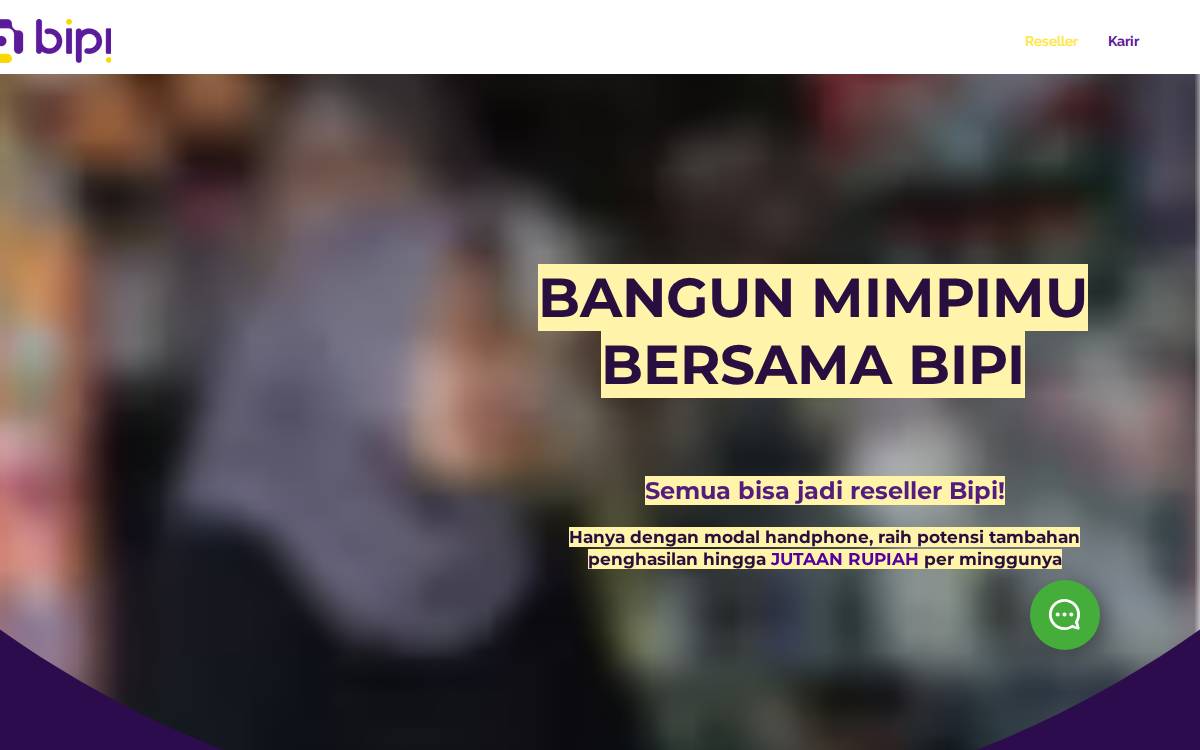 bipi website preview