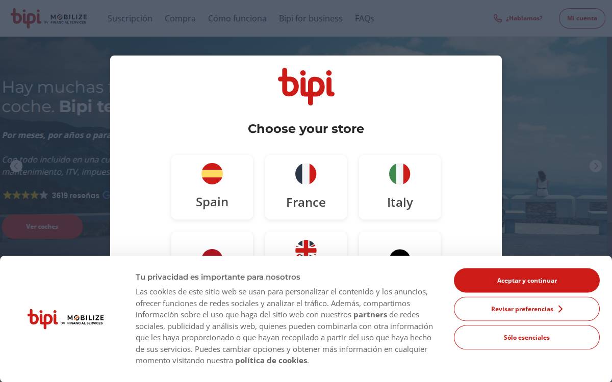 Bipicar website preview