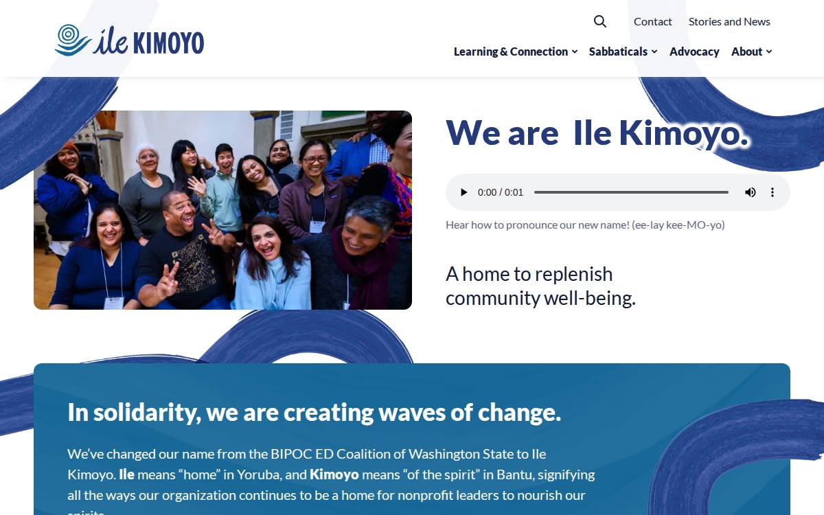 BIPOC ED Coalition website preview
