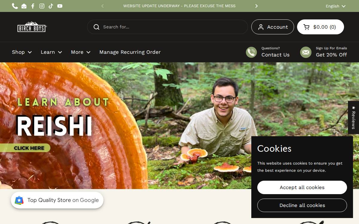 Birch Boys website preview