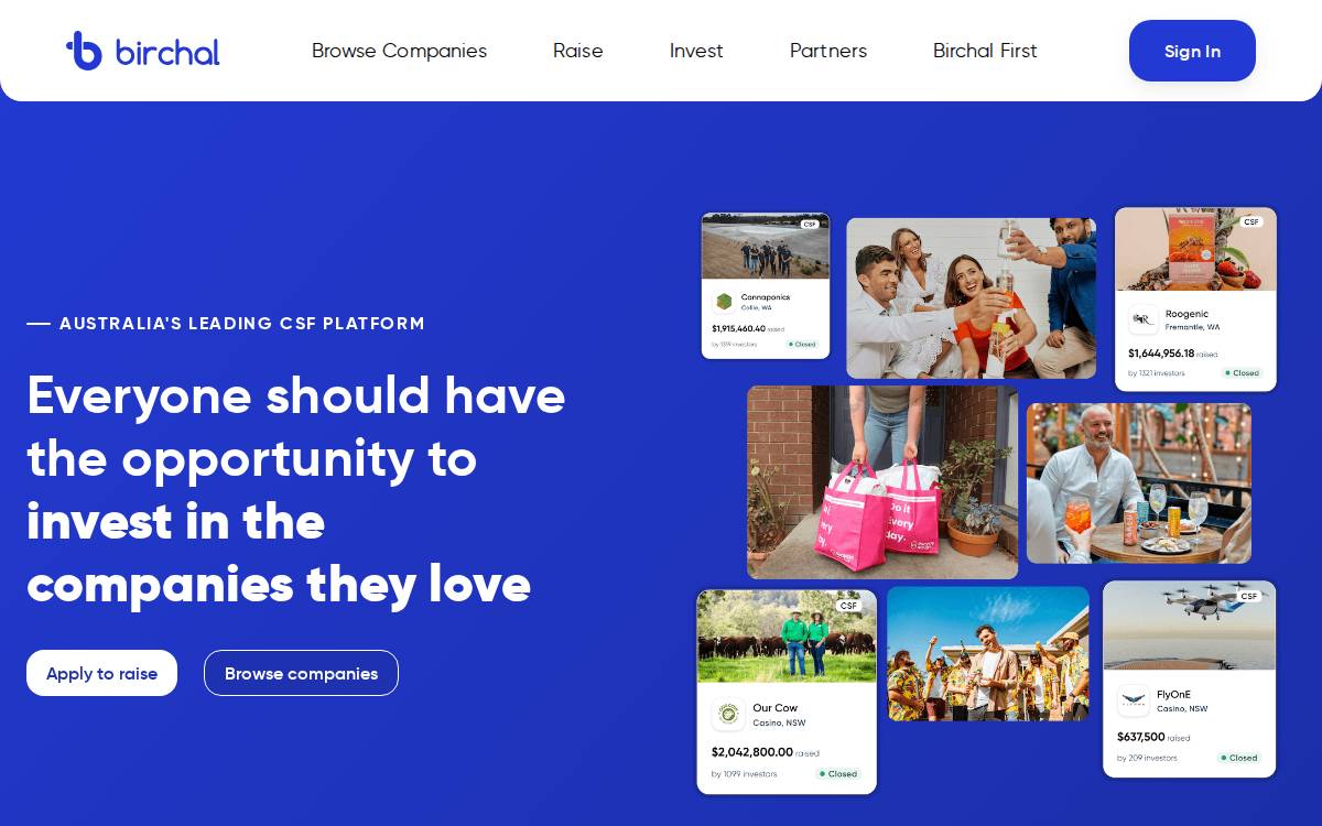Birchal website preview