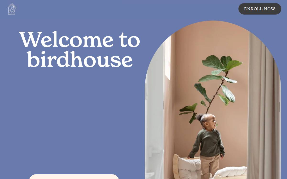 Birdhouse website preview