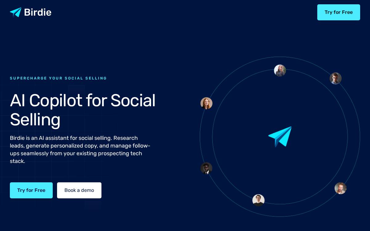 Birdie website preview