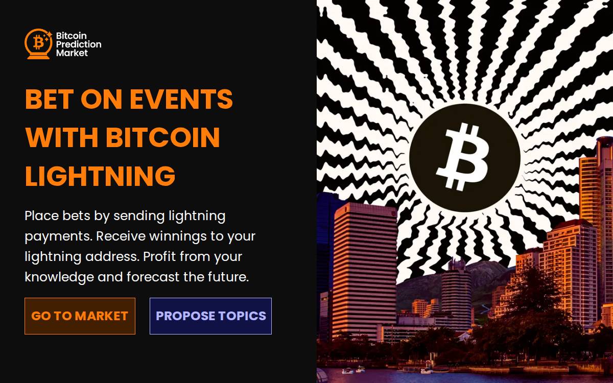 Birkeland website preview