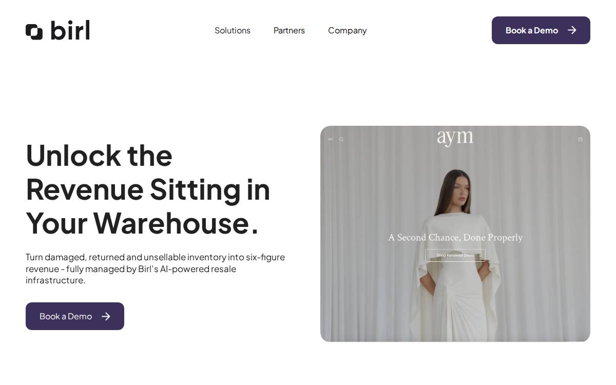 BIRL website preview