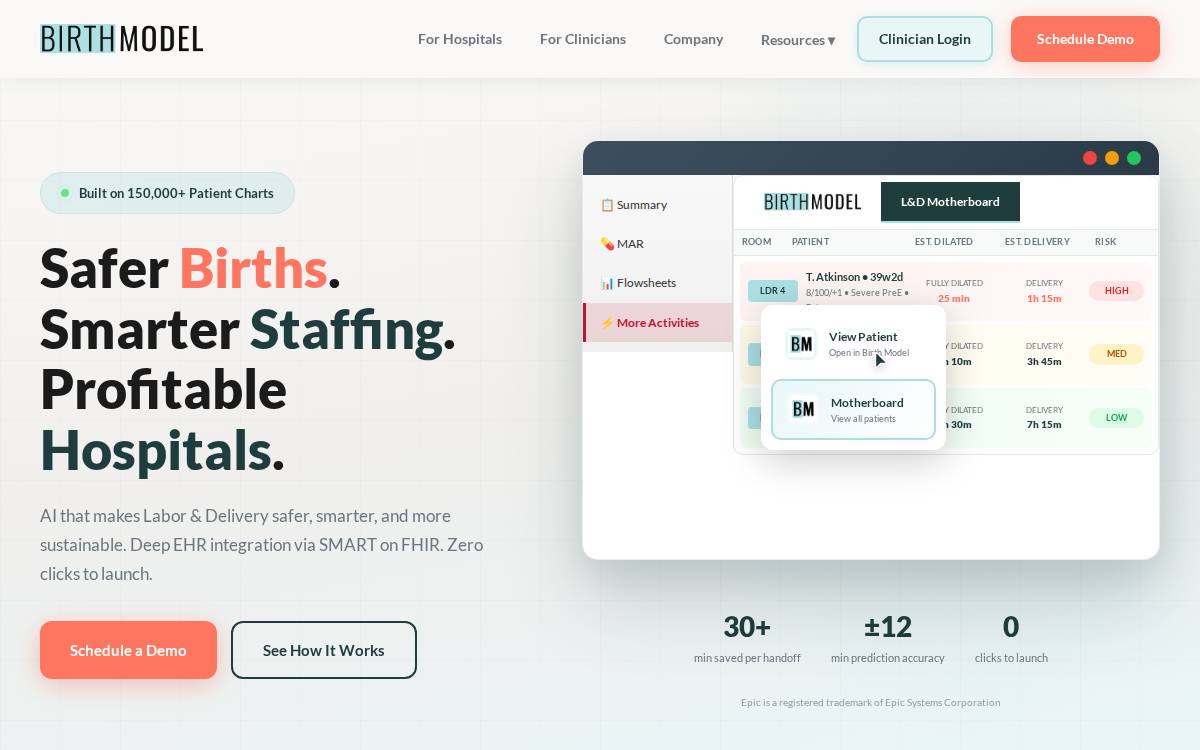 Birth Model website preview