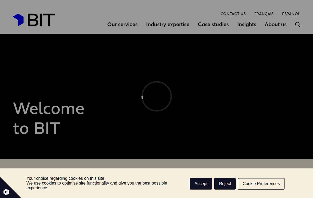 BIT website preview