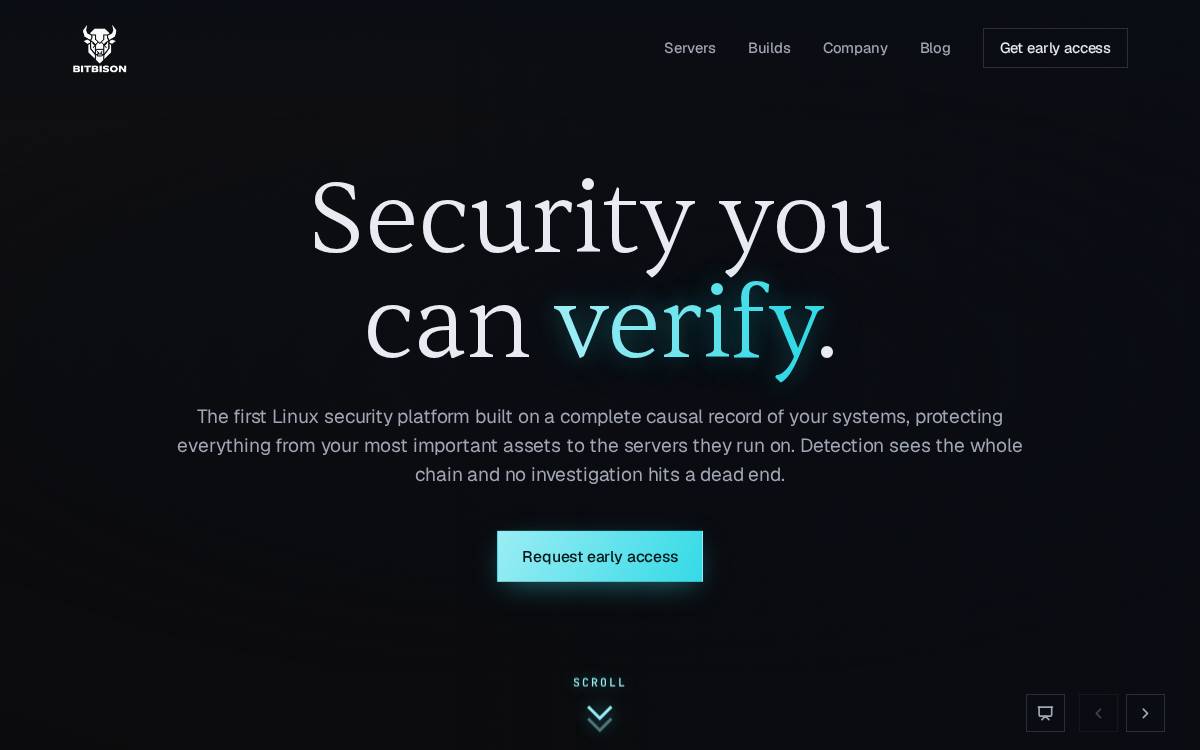 Bitbison website preview