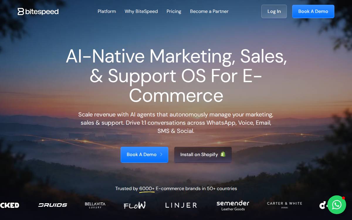 BiteSpeed website preview