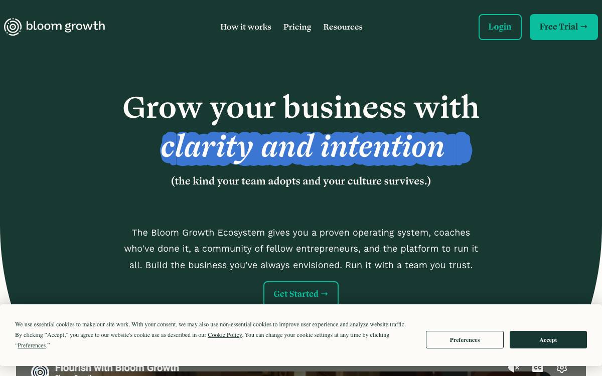 Bitplay website preview