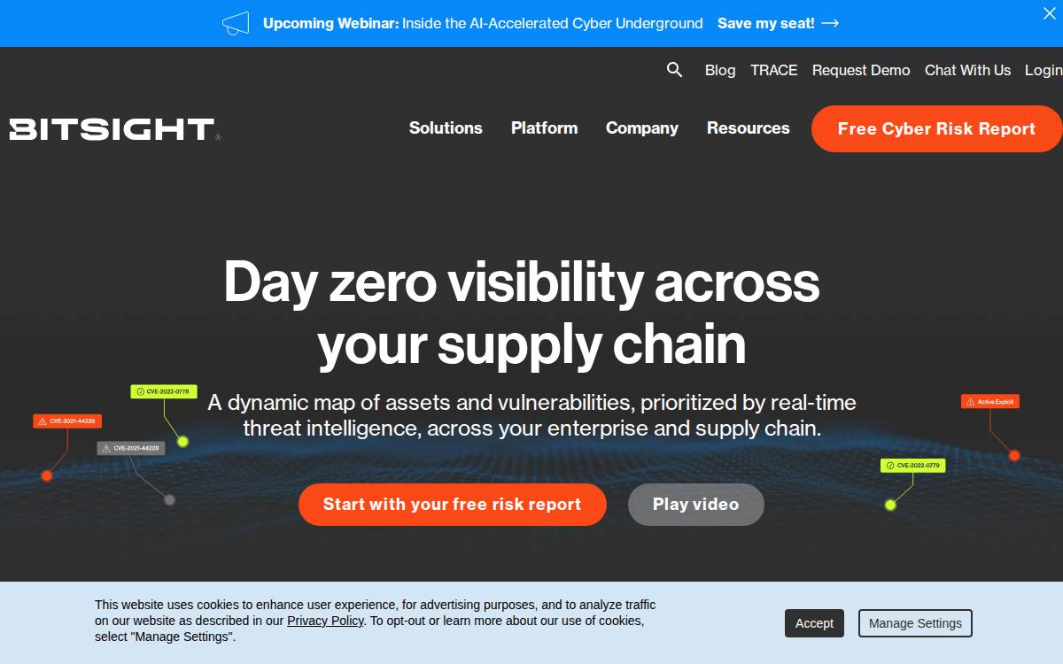 BitSight Technologies website preview