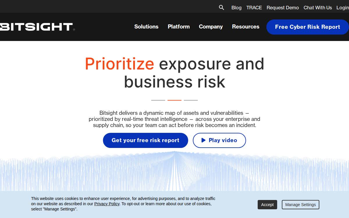 Bitsight website preview
