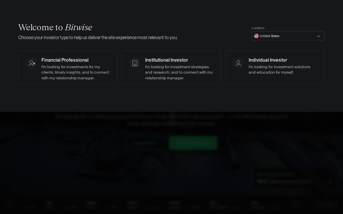 Bitwise website preview