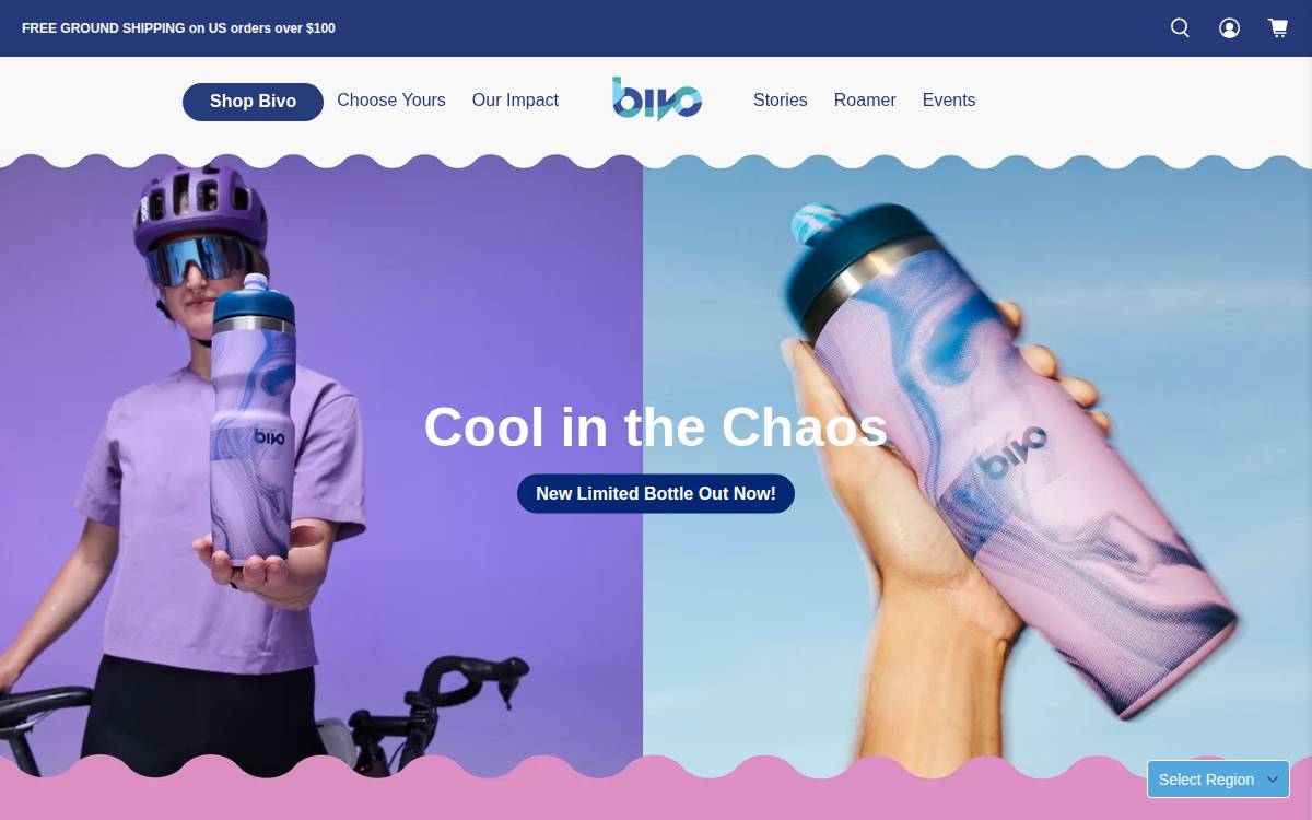 Bivo website preview