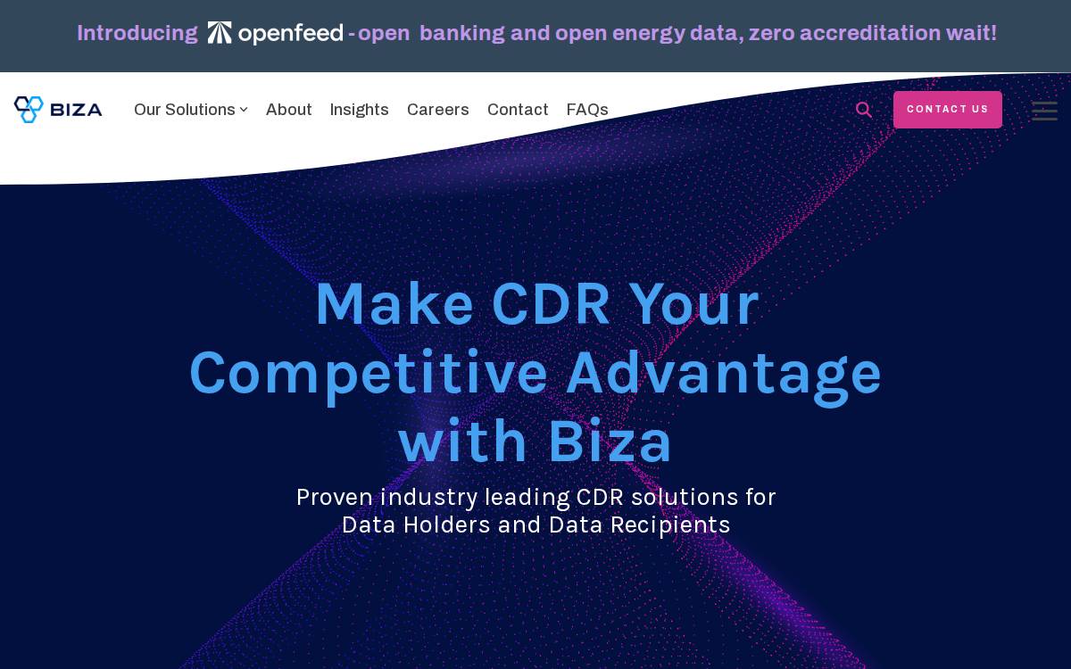 Biza website preview