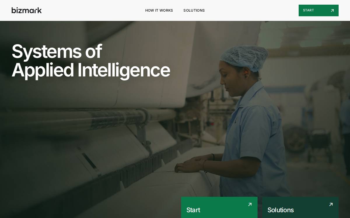Bizmark website preview