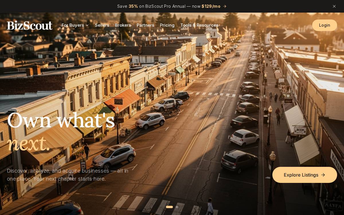 BizScout website preview