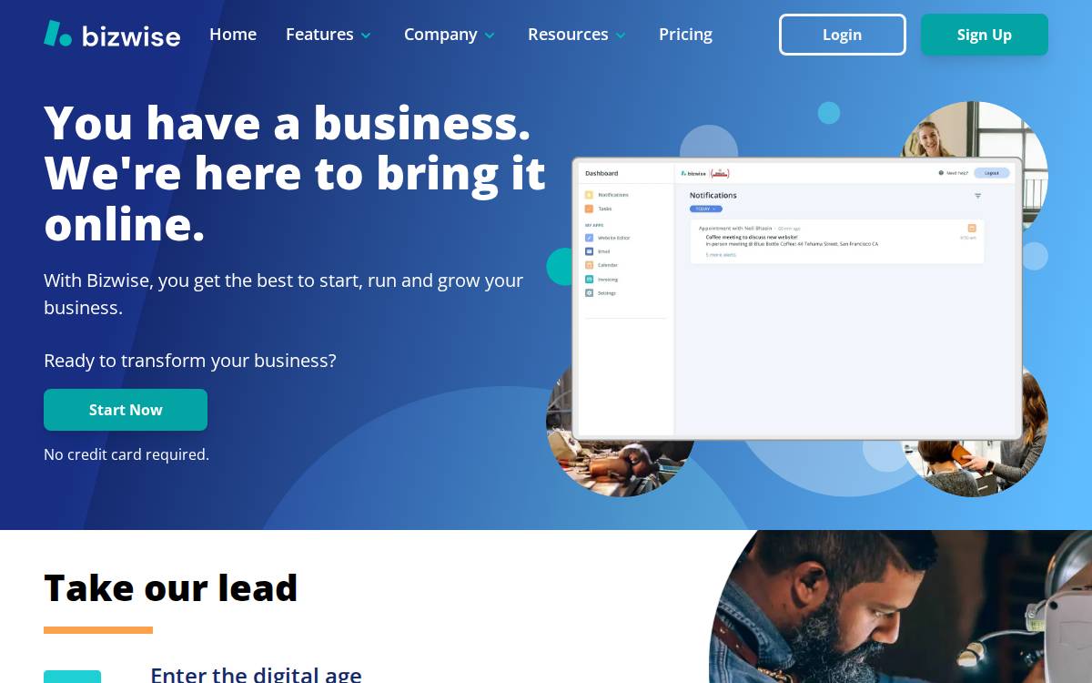 Bizwise website preview