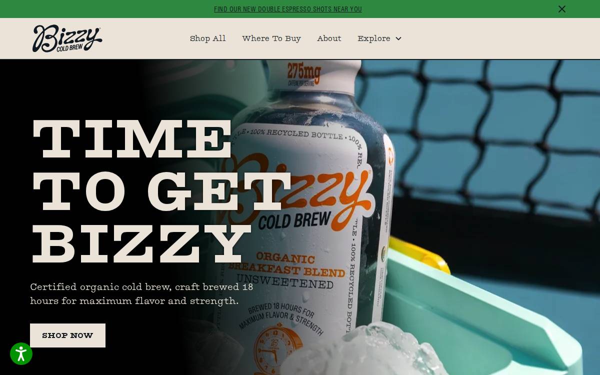 Bizzy website preview