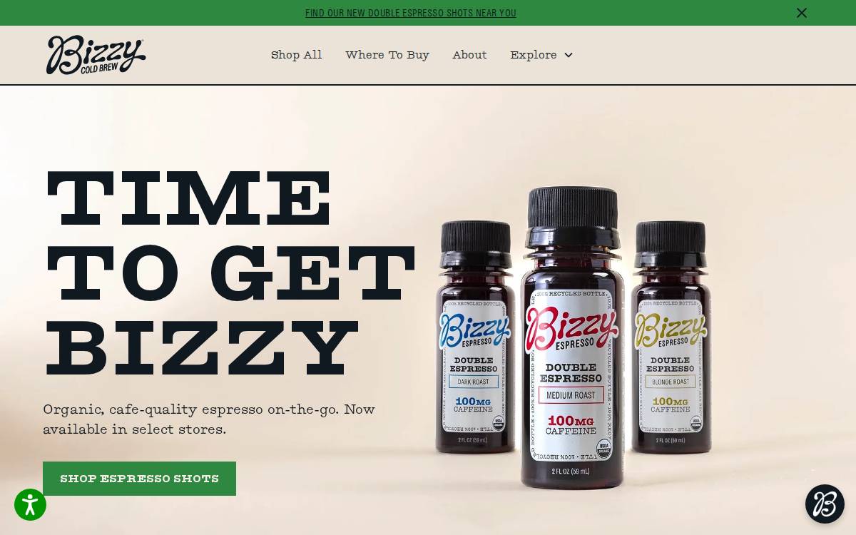 Bizzy website preview