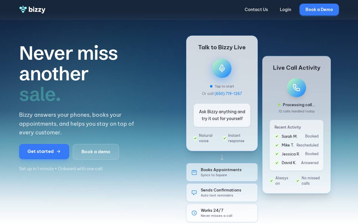 Bizzy AI website preview