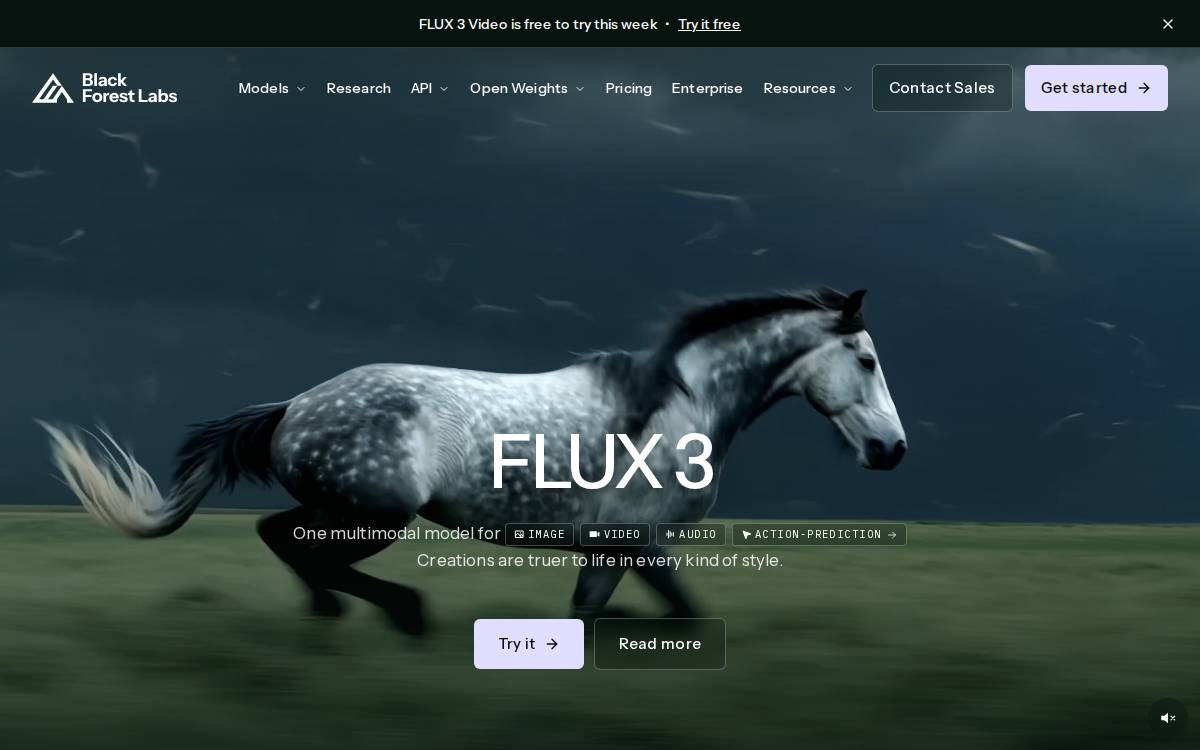 Black Forest Labs website preview