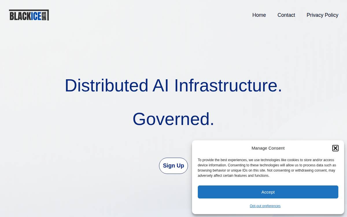 Black Ice Data website preview