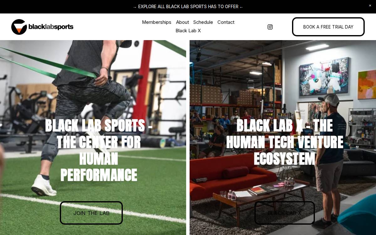 Black Lab Sports website preview