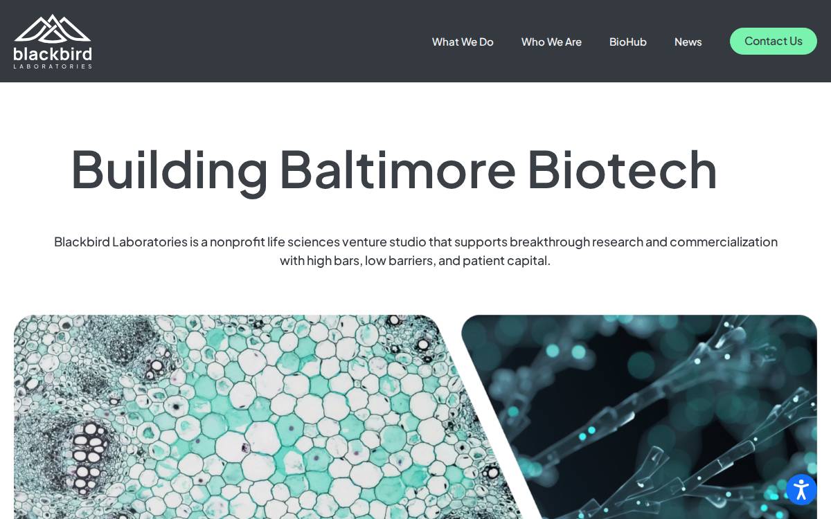 Blackbird Labs website preview