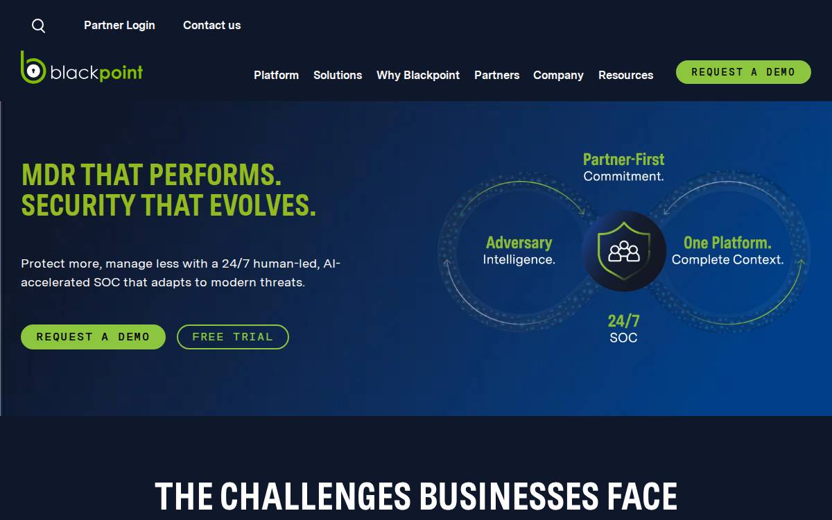 Blackpoint website preview