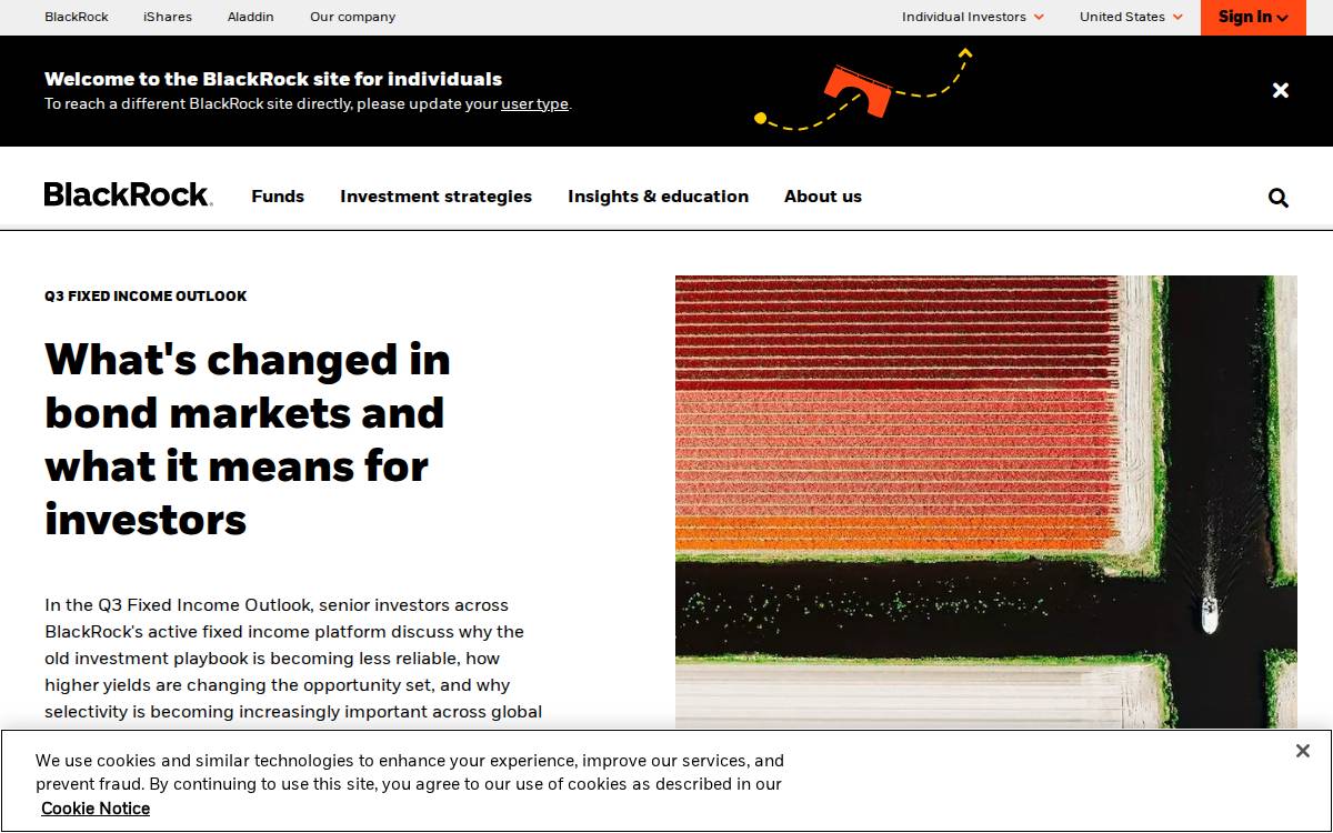 BlackRock website preview