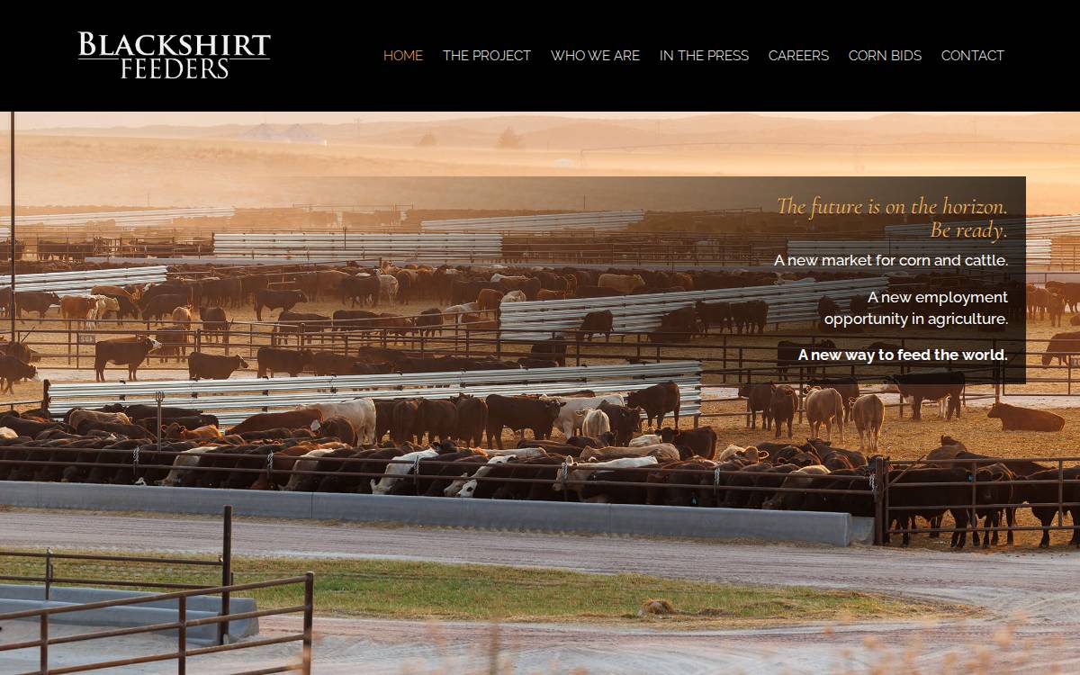Blackshirt Feeders website preview