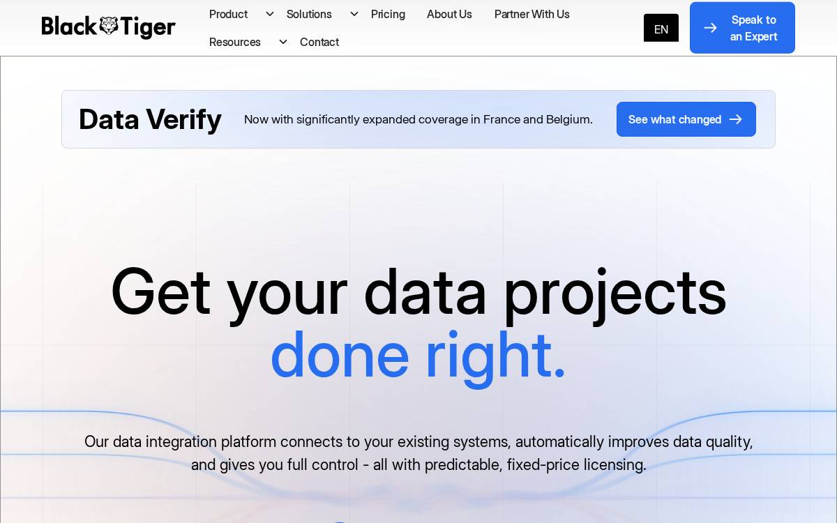 Blacktiger website preview