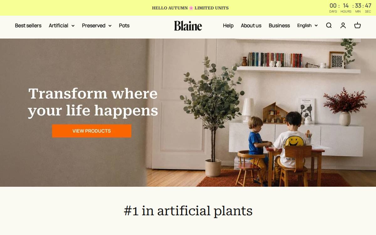 Blaine website preview