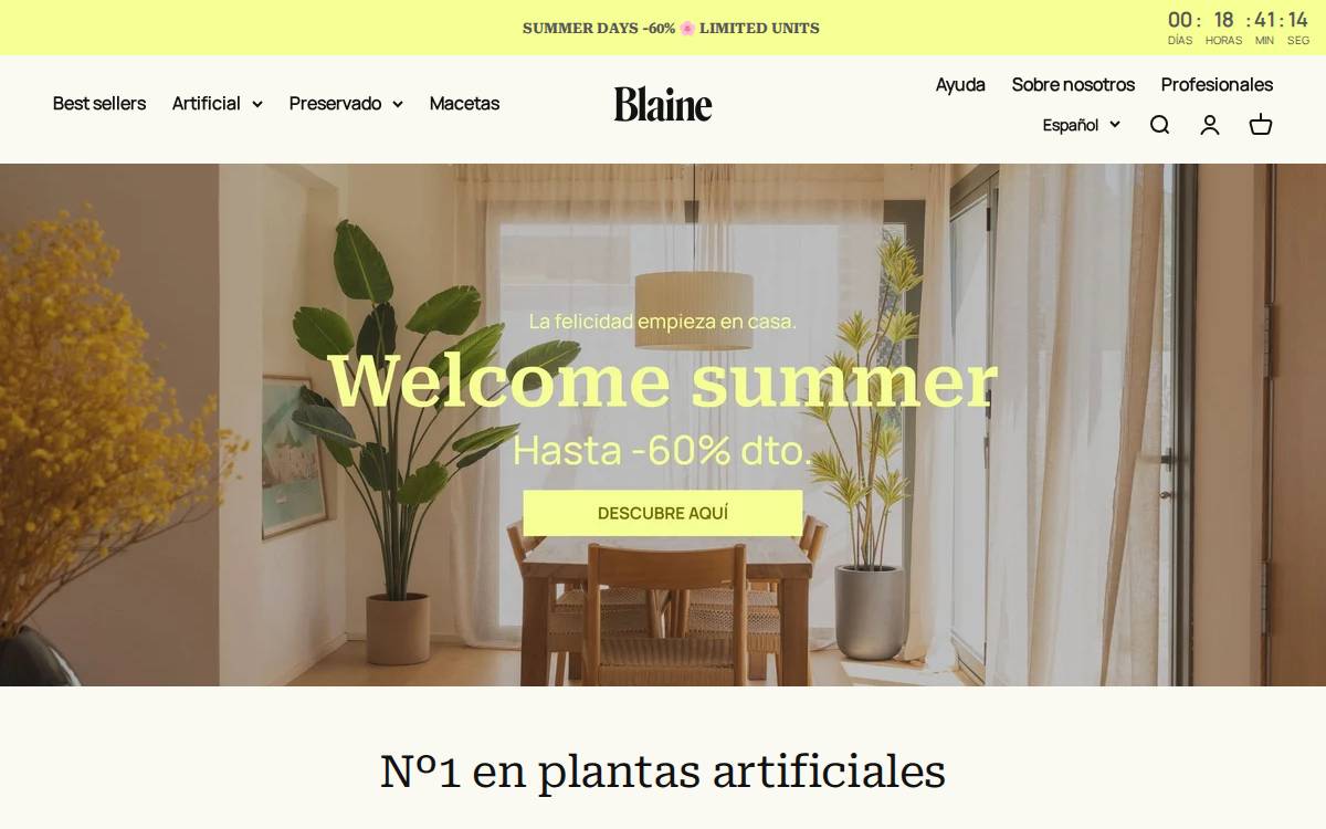 Blainebox website preview