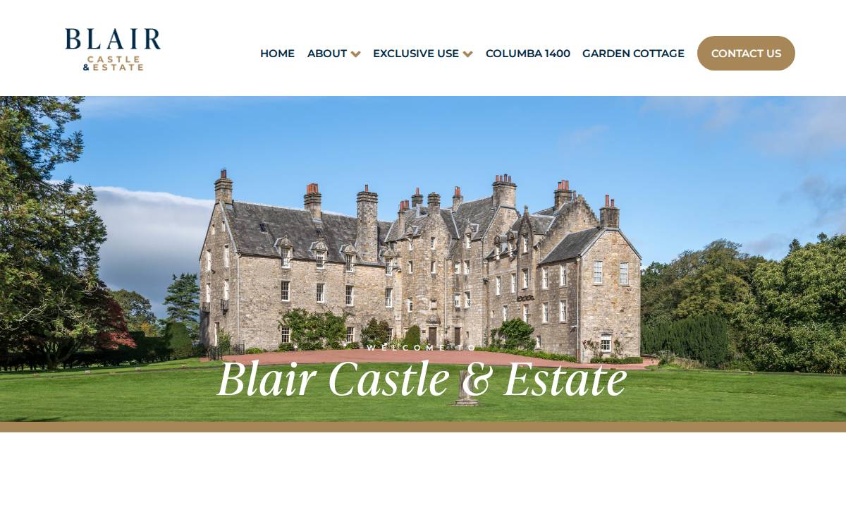 Blair website preview