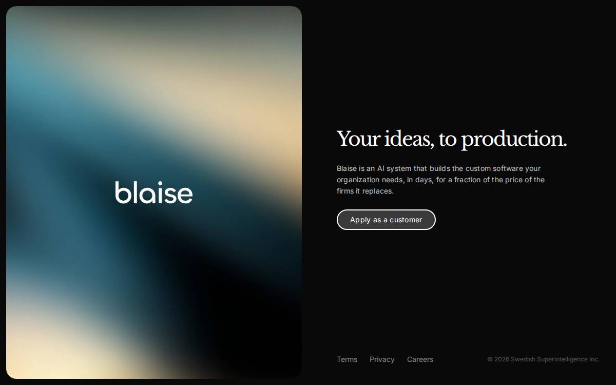 Blaise website preview