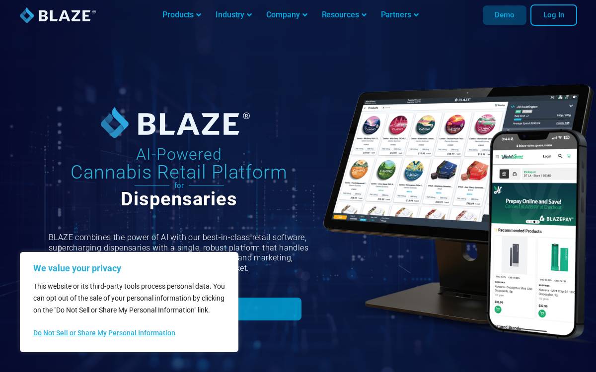 Blaze website preview