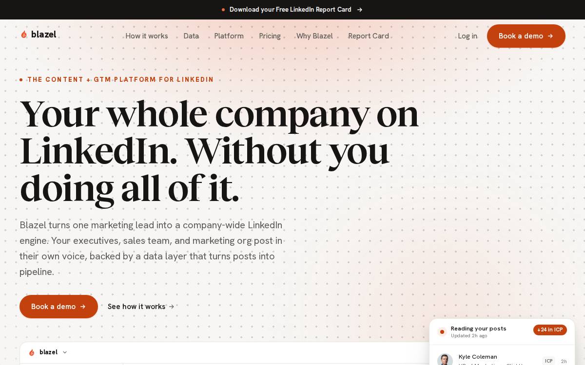 Blazel website preview