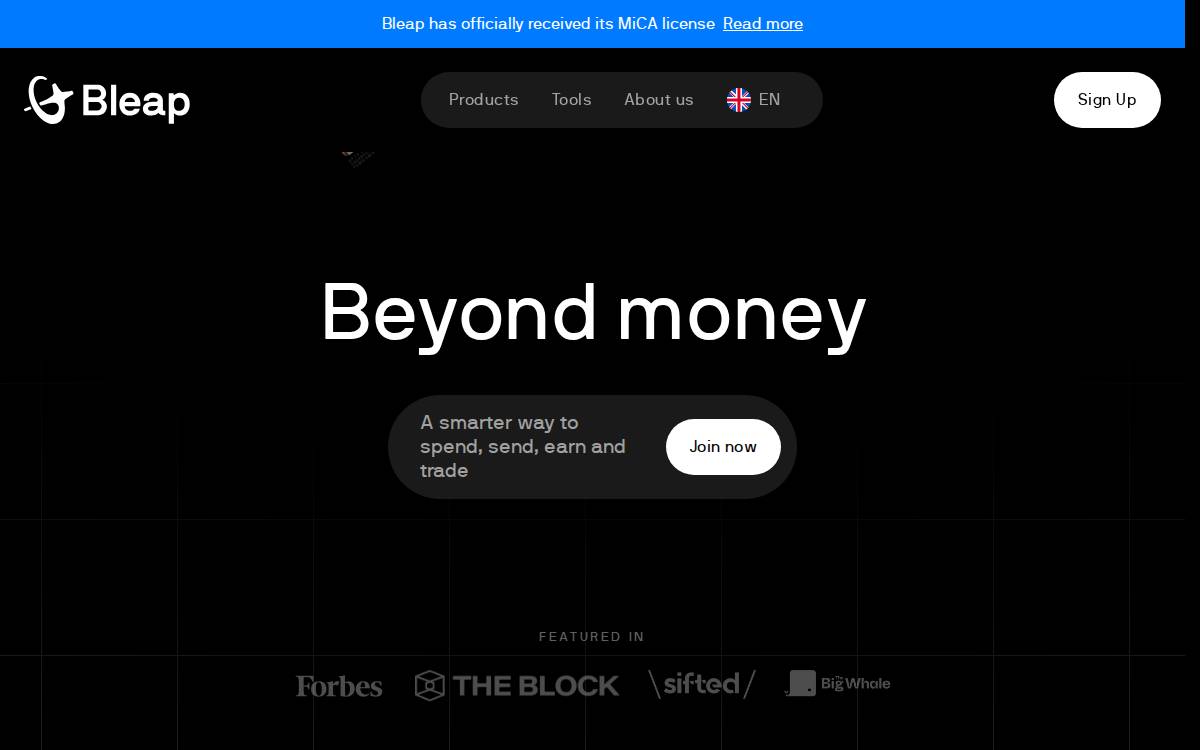 Bleap website preview