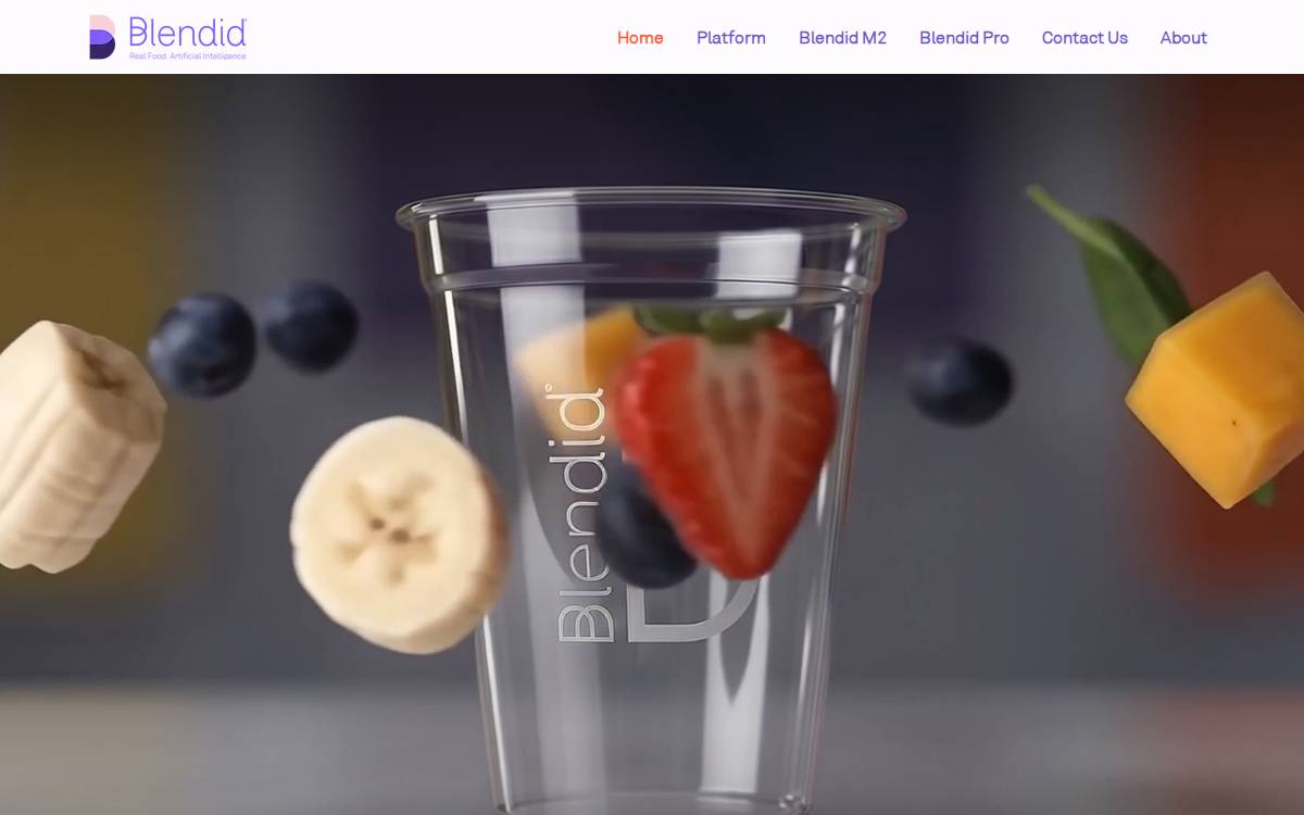 Blendid website preview