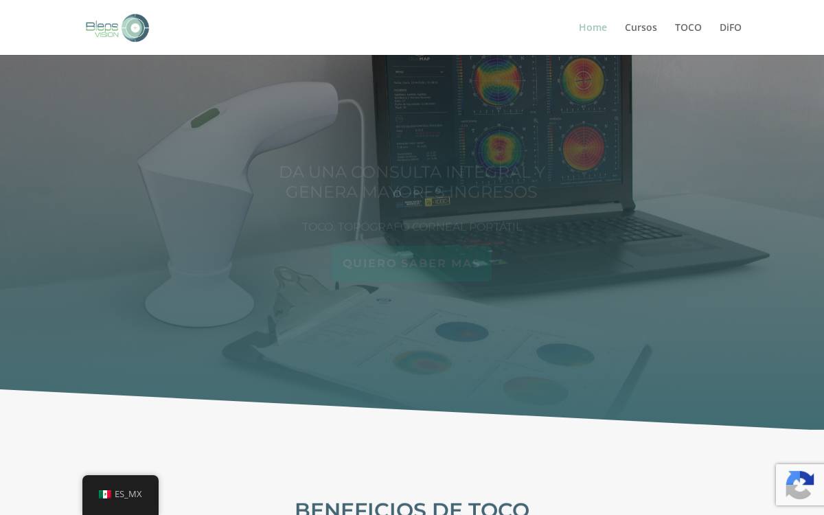 Bleps Vision website preview