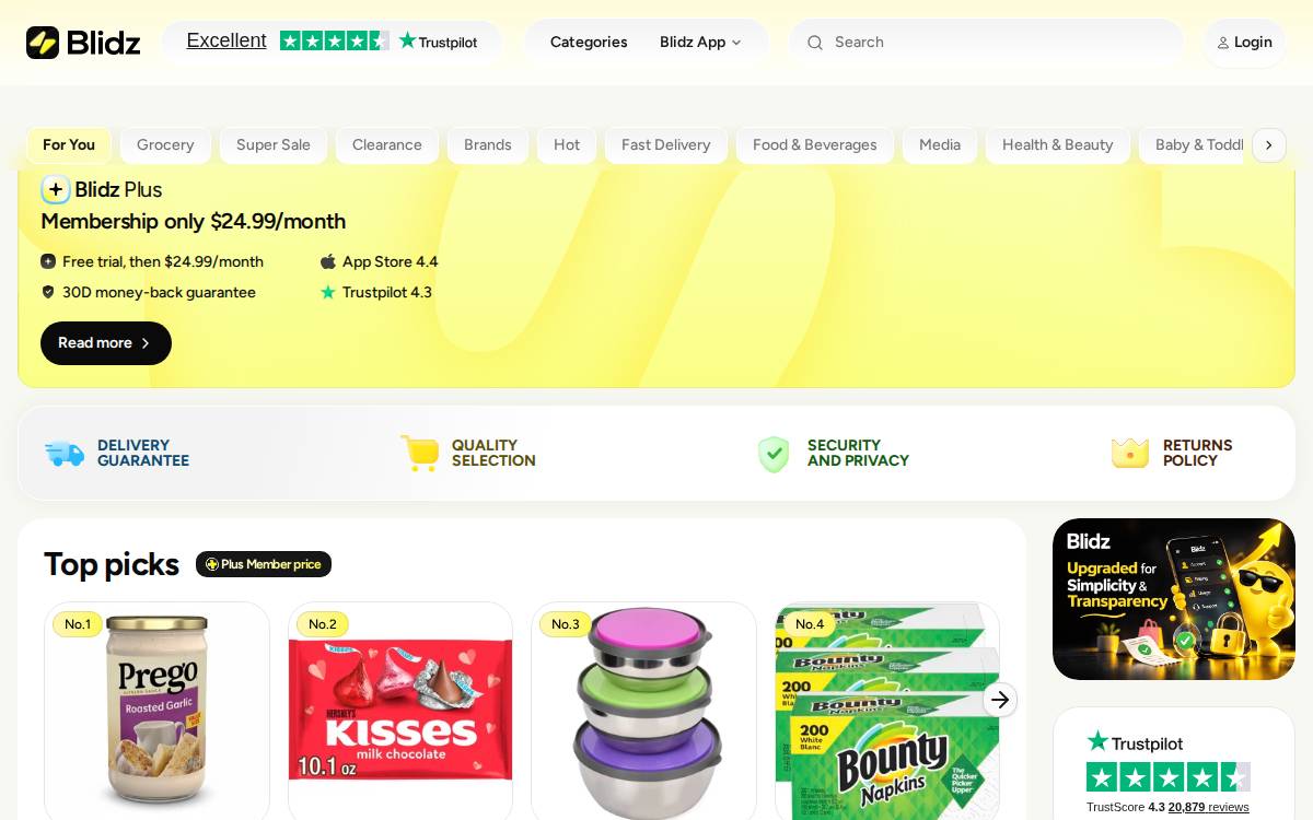 Blidz website preview