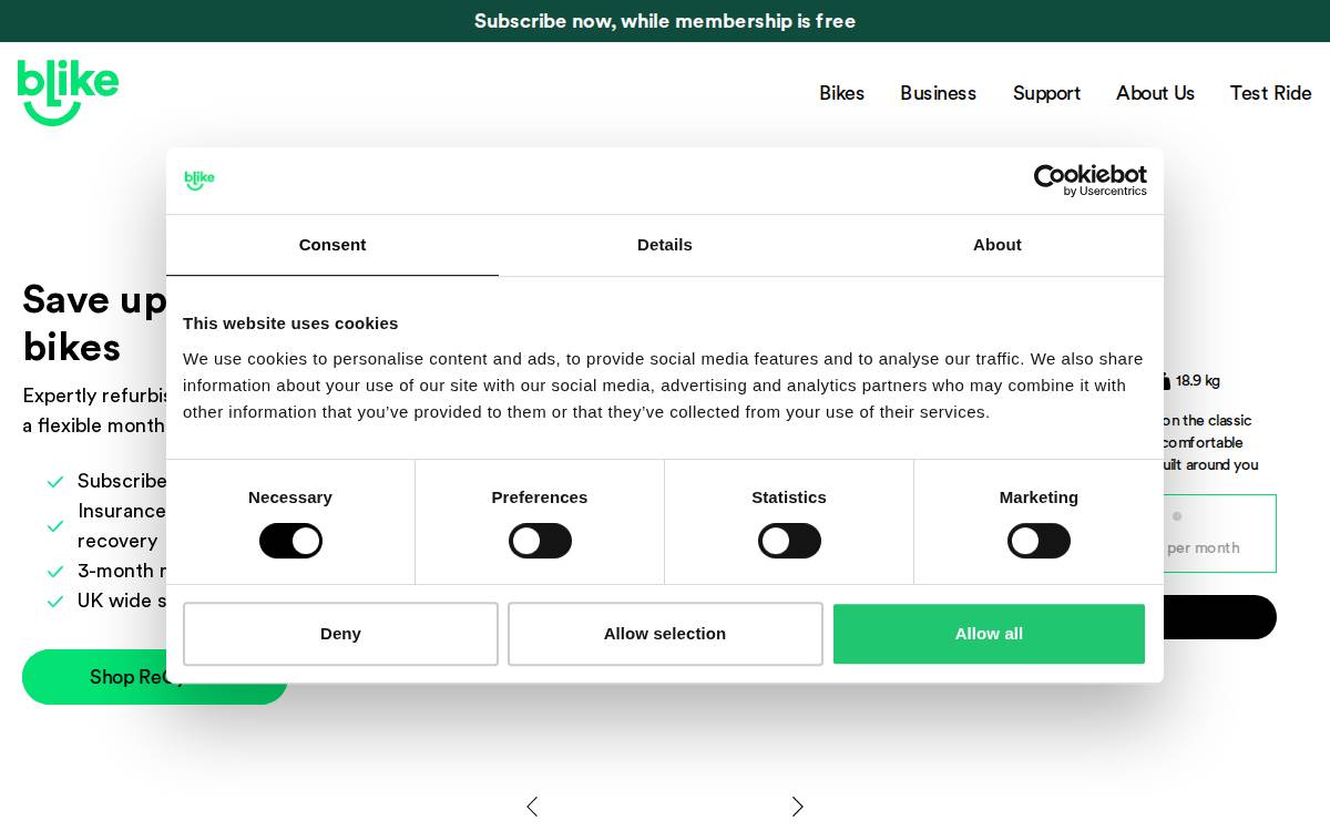 Blike website preview