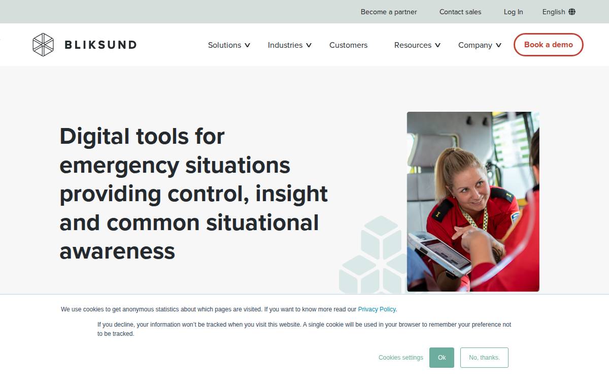 Bliksund website preview