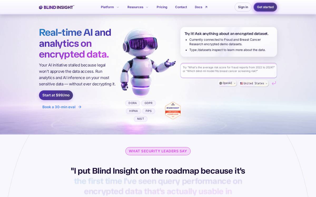 Blind Insight website preview