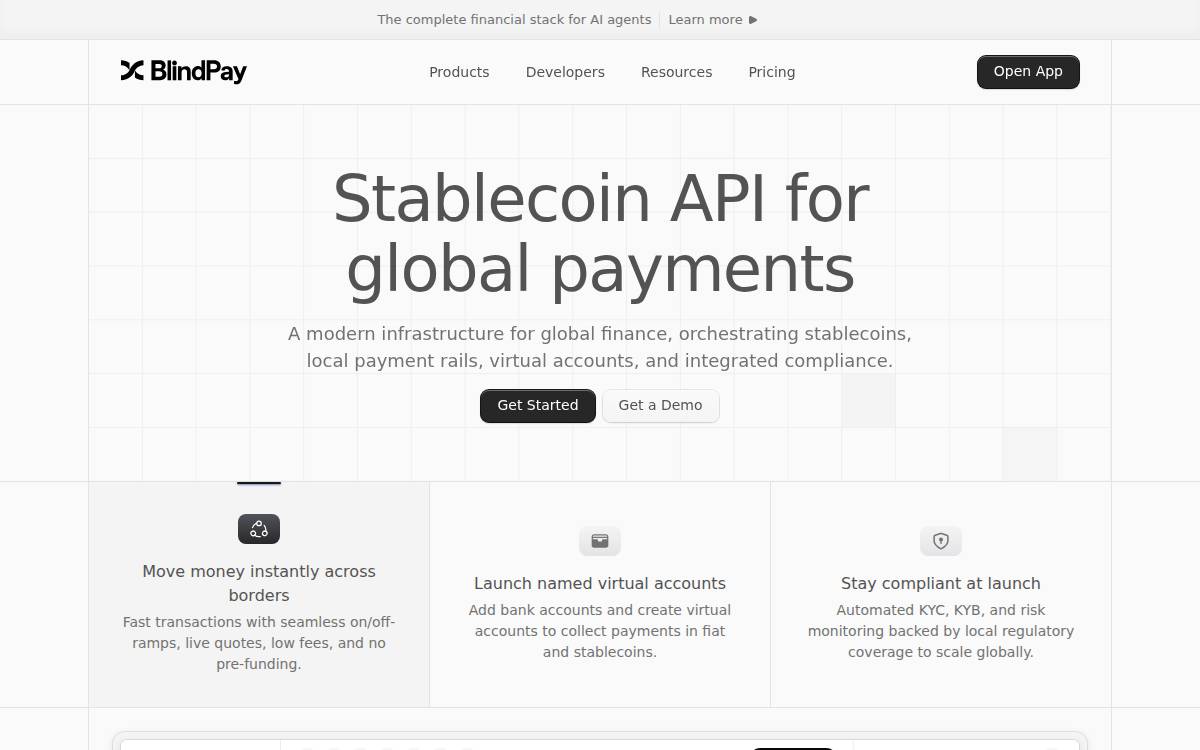 BlindPay website preview