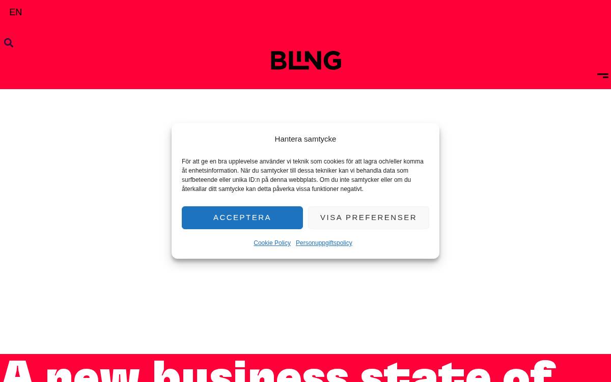 Blingstartup website preview