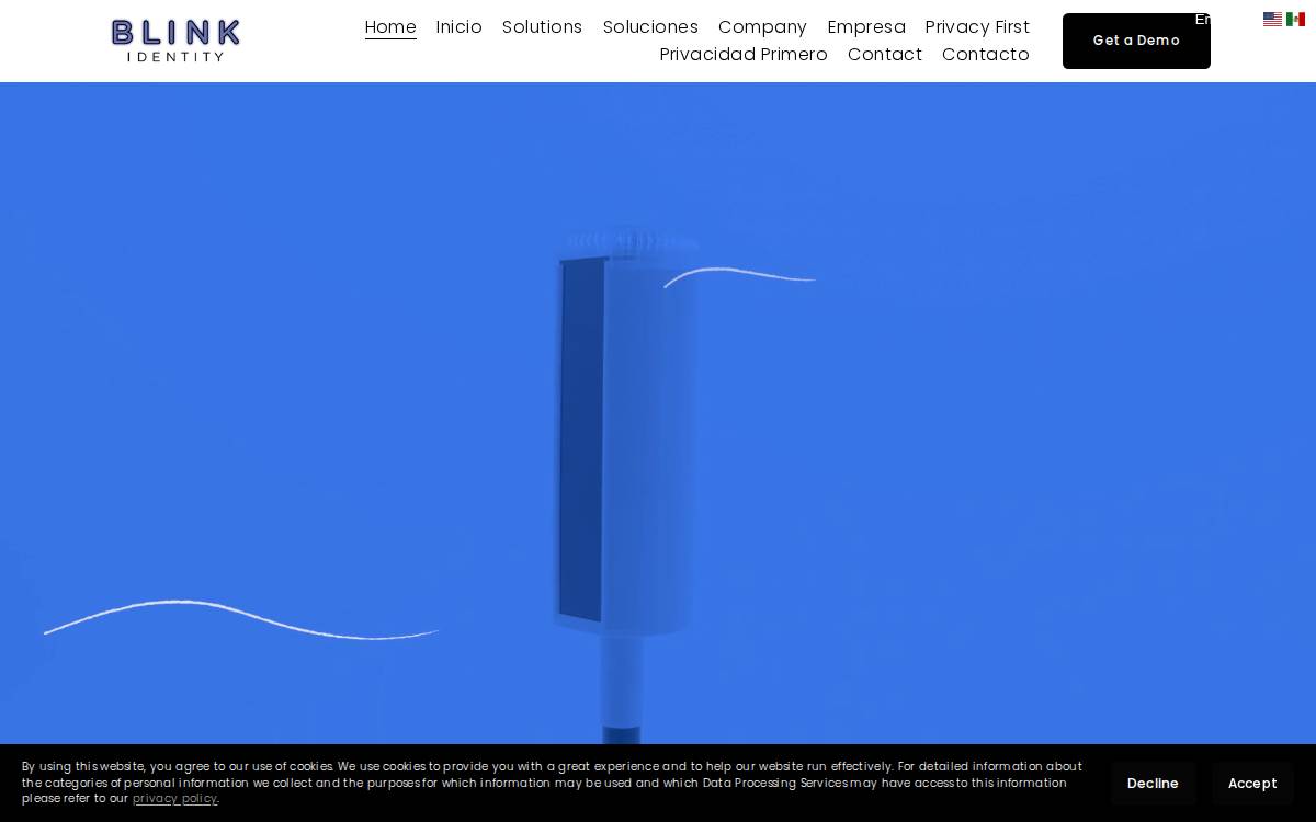 Blink Identity website preview
