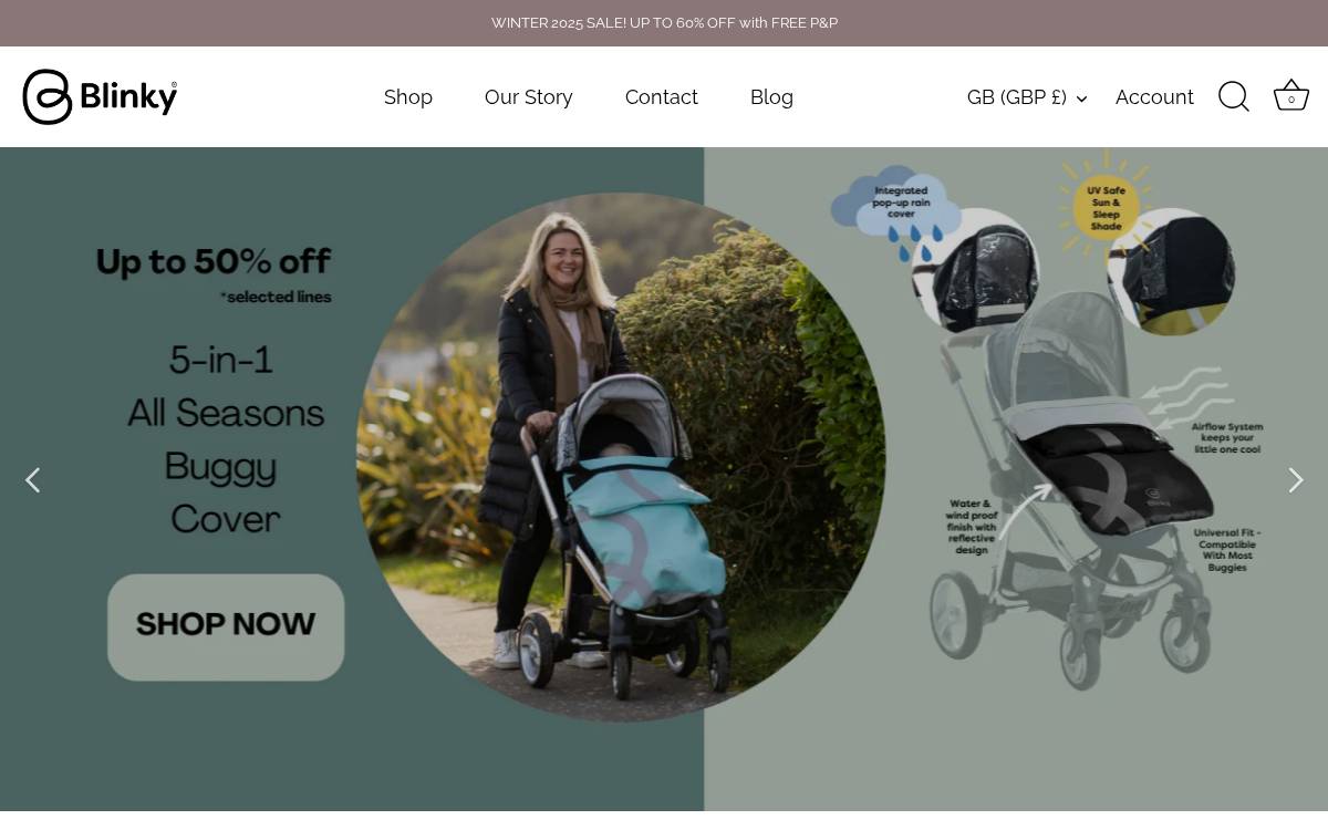 Blinky website preview